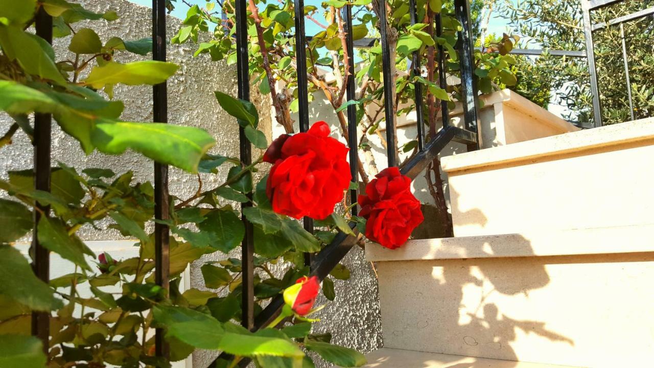 Apartmani Bezma Bol Dış mekan fotoğraf